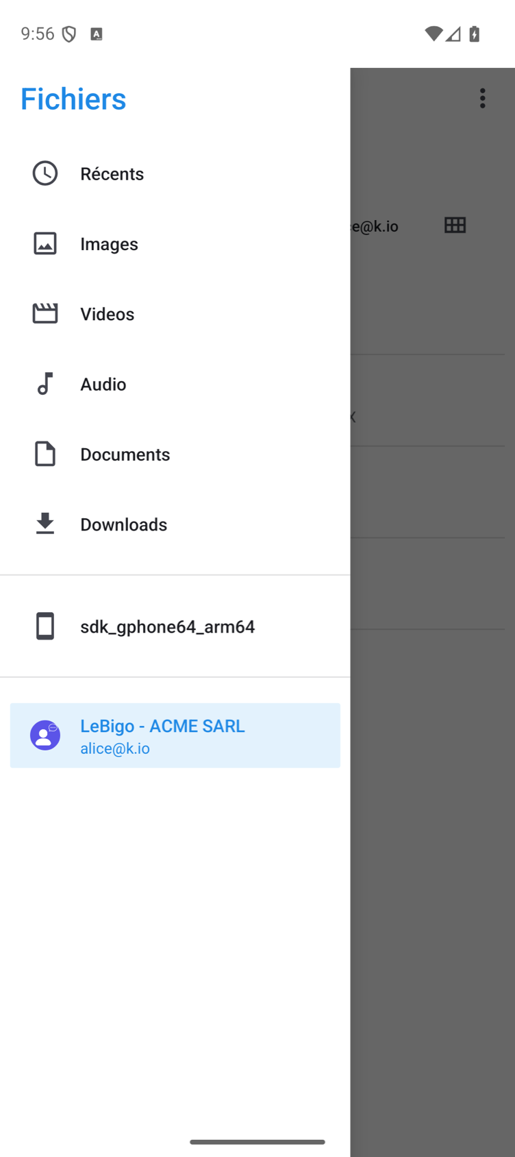 L'app de fichiers d'Android, menu ouvert : LeBigo - ACME SARL dans la liste des sources