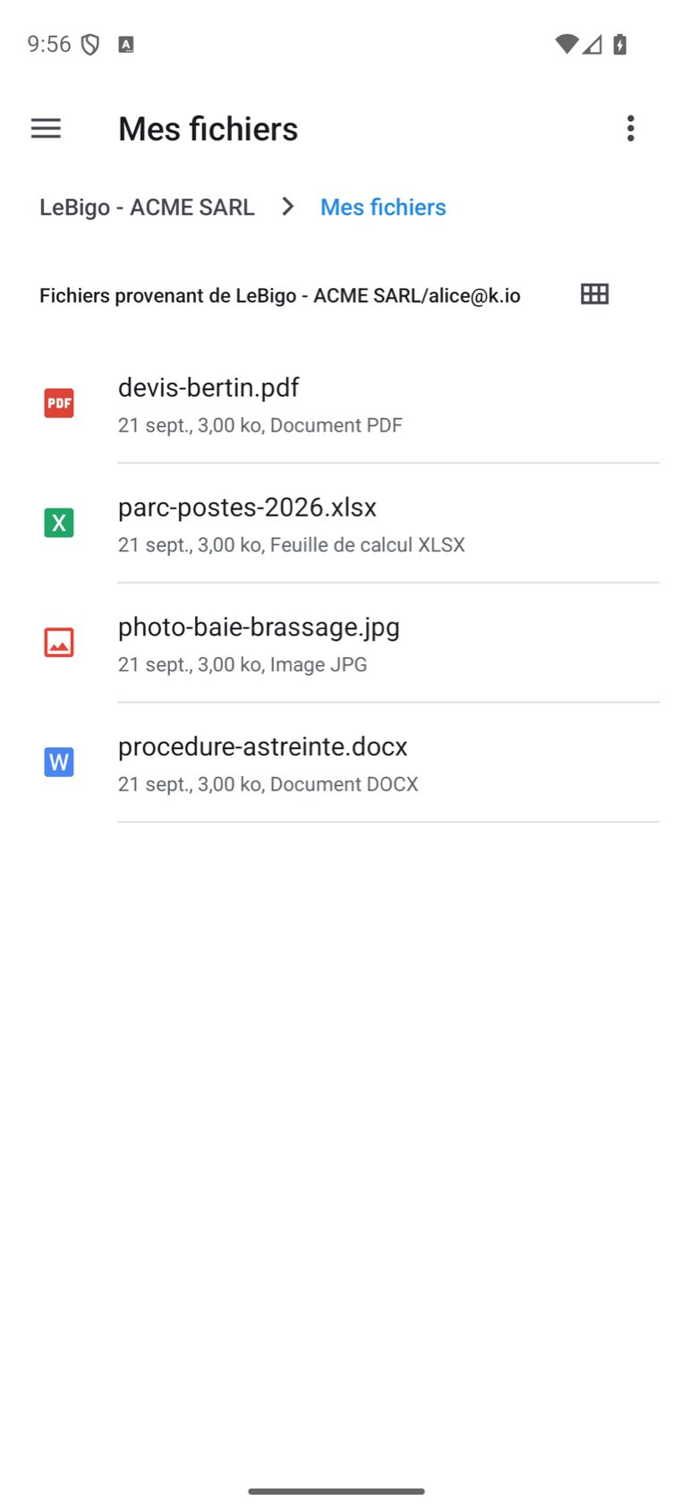 Le dossier Mes fichiers de LeBigo ouvert dans l'app de fichiers d'Android : quatre documents avec leur type et leur taille