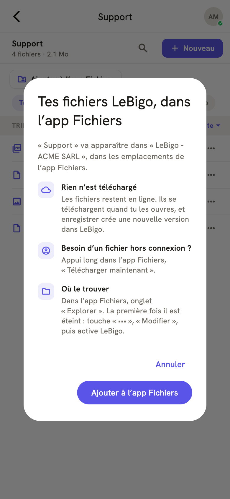 Sur iPhone, la fenêtre d'accueil : rien n'est téléchargé, Télécharger maintenant par un appui long, et où trouver LeBigo dans l'app Fichiers